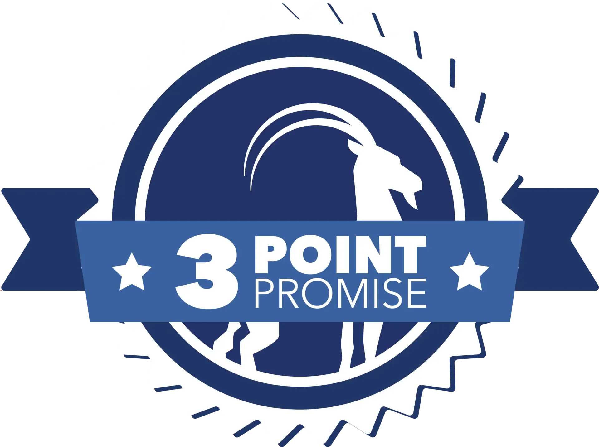 3 Point Promise Badge