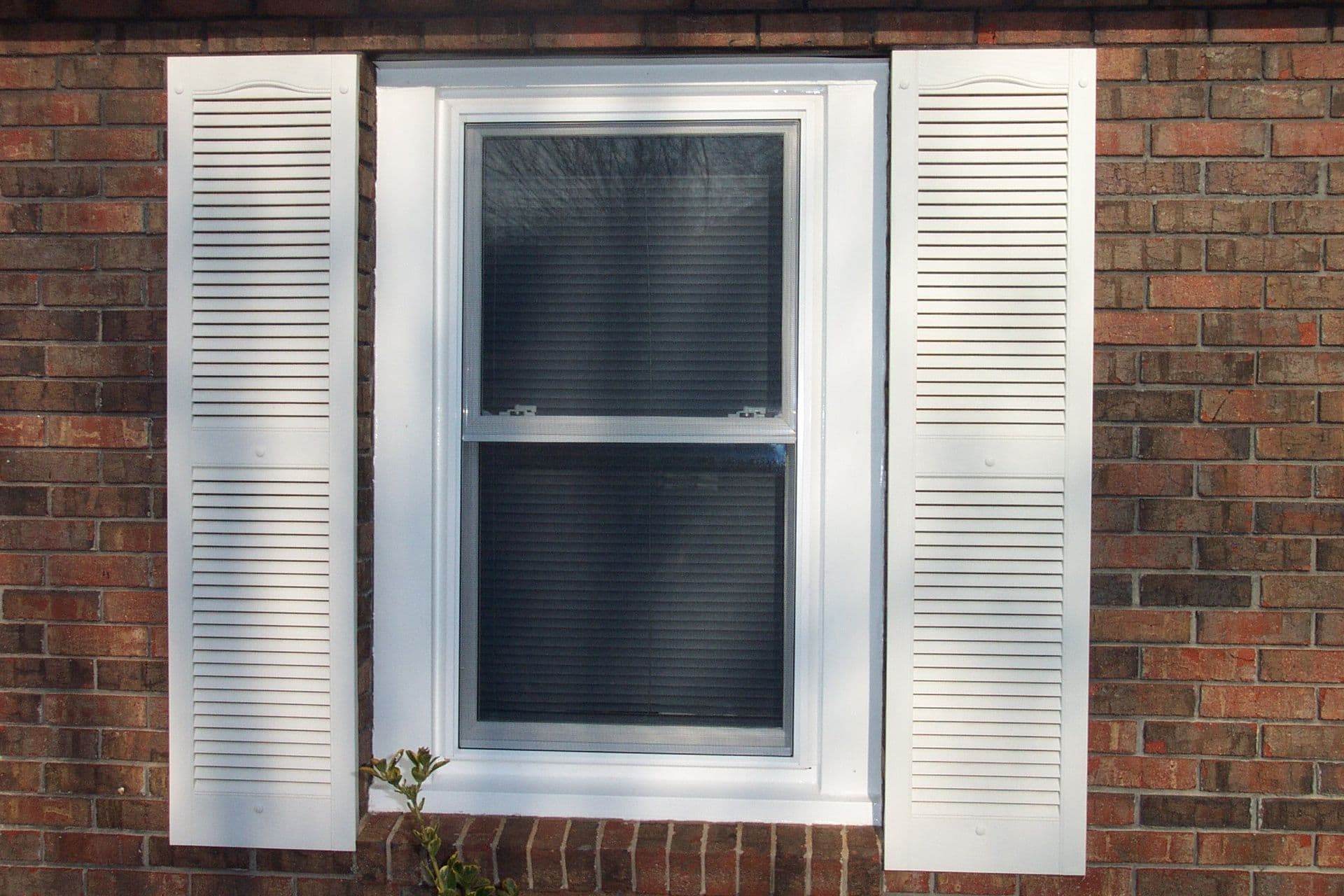 Double-Hung Window
