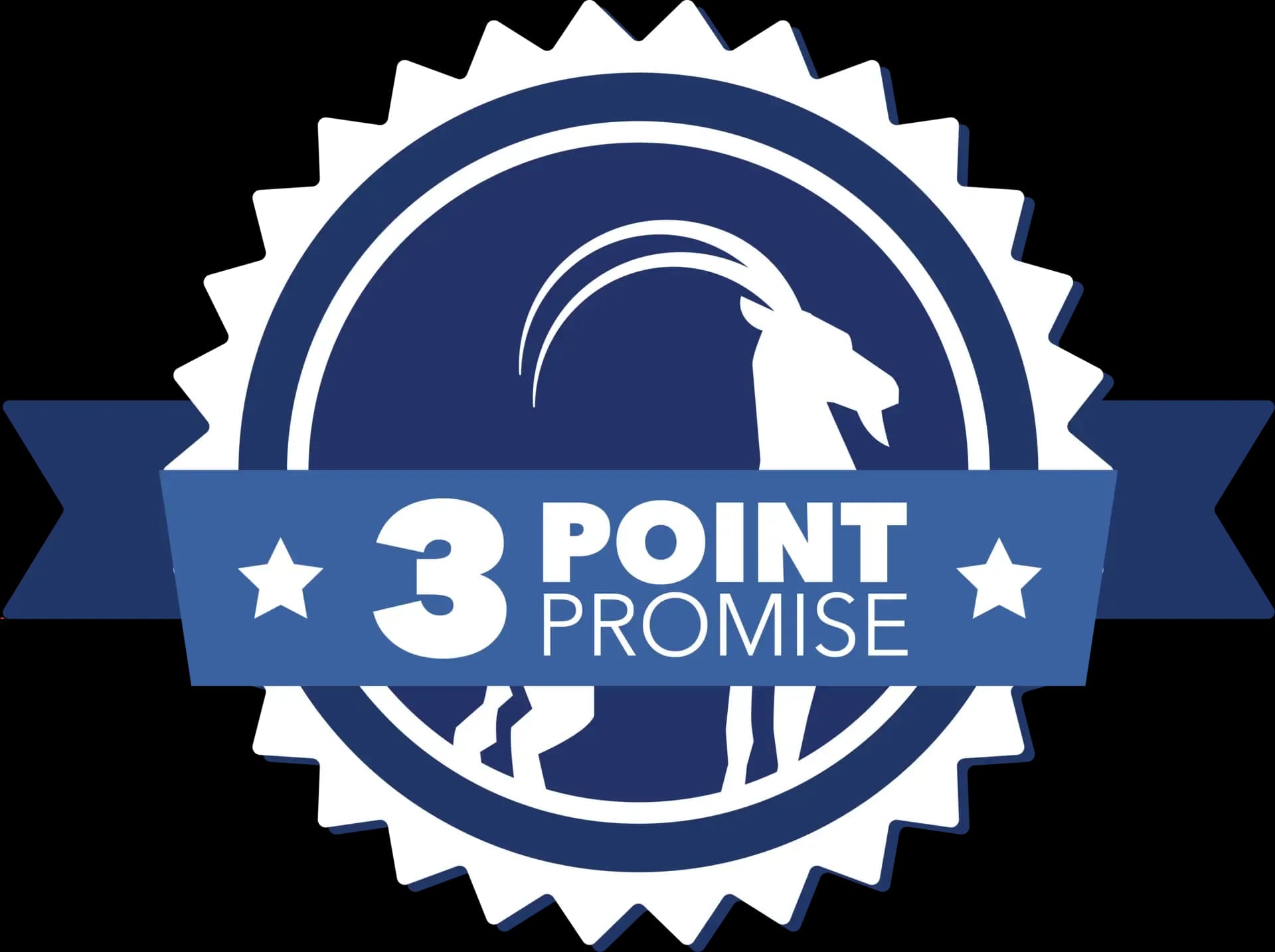 3 Point Promise Badge